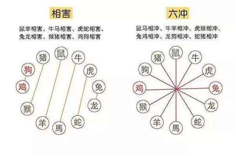 辛金八字|八字命理带你深层次剖析辛金命人